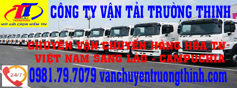 lien-he-truong-thinh-van-chuyen-hang-tu-binh-duong-di-lao