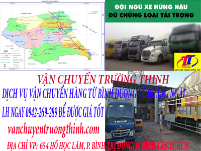 dich-vu-van-chuyen-hang-tu-binh-duomng-di-quang-ngai-truong-thinh