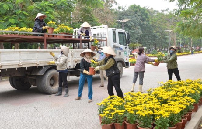 van chuyen hoa dip tet