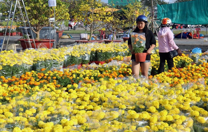 van chuyen hoa dip tet
