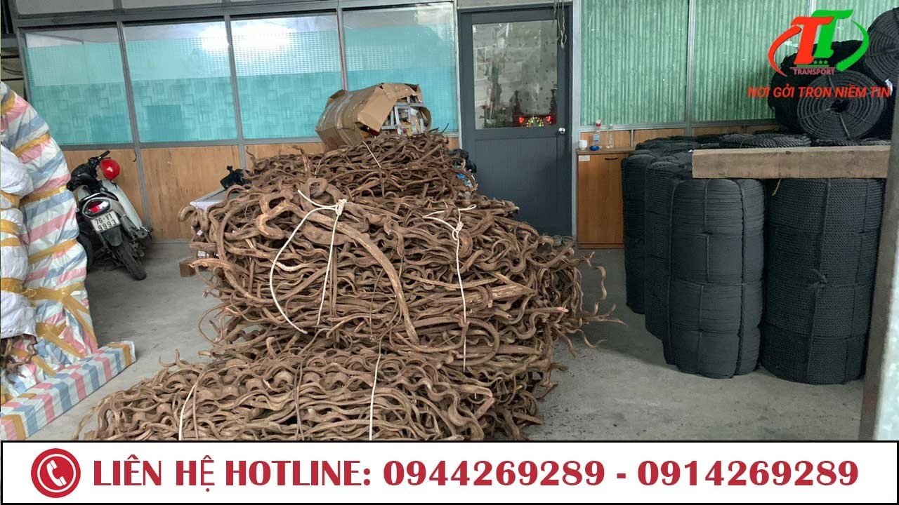 gui hang tu song cau di quang ngai
