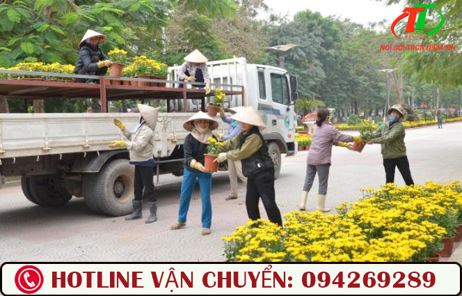 van chuyen hoa dip tet